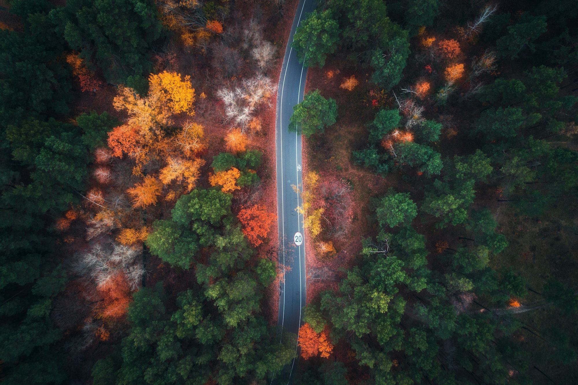 Aerial view of road in beautiful autumn forest